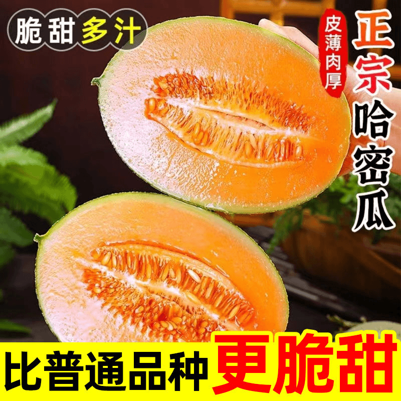 正宗新鲜现摘网纹瓜哈密瓜晓蜜25号应季水果脆甜整箱装包邮（绿色）
