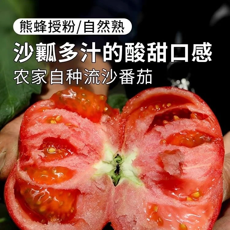【小郝专属】新鲜农家西红柿清甜多汁肉嫩爽口鲜嫩美味