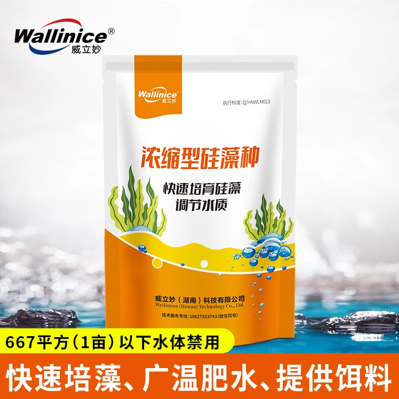 wallinice/威立妙水产养殖浓缩型硅藻种鱼塘肥水培藻促进菌藻平衡