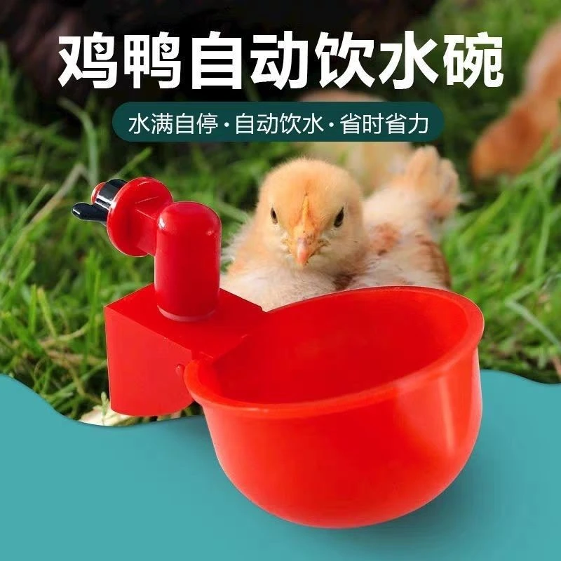 家禽饮水器鸡鸭产品喂料新型自动水喝水自动喂水自动喂鸡自动饮水
