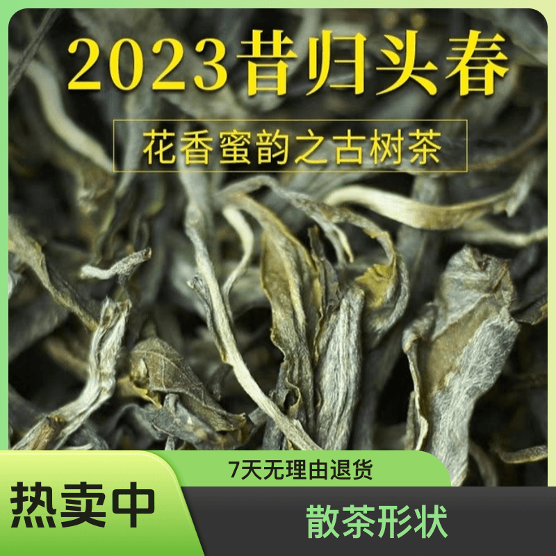 【董贡】昔归古树普洱茶头春头采临沧忙麓山正山生茶100克试喝装