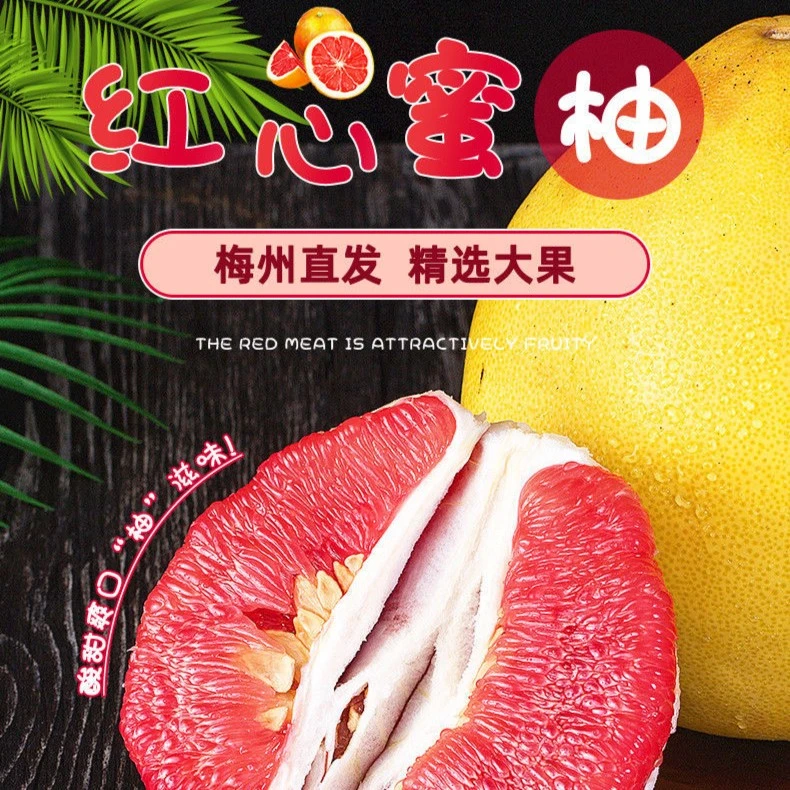 【梅州金柚】广东梅州红心蜜柚 正宗老树红肉大袋家庭装新鲜多汁