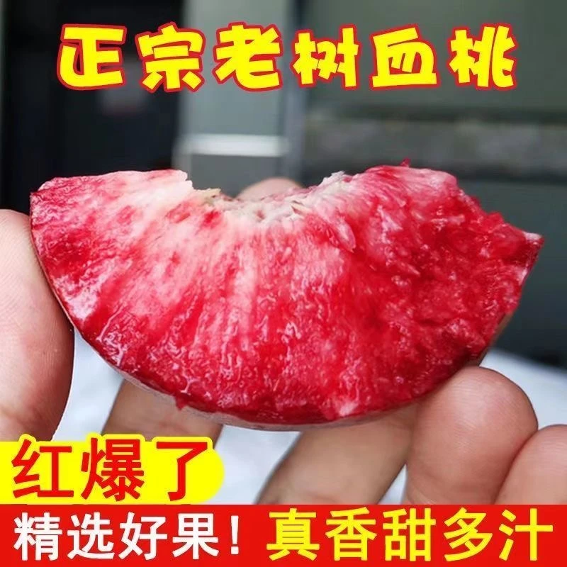 正宗中华血桃果肉红离核新鲜采摘5斤包邮现货发货