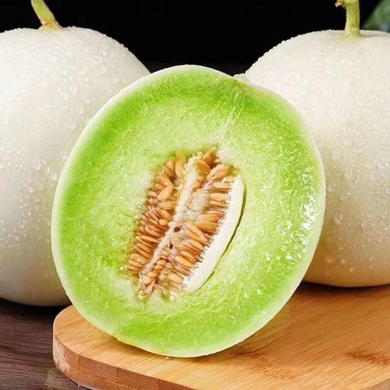 玉菇甜瓜蜜瓜新鲜现摘应季哈密瓜羊角蜜超甜【水果冰淇淋】