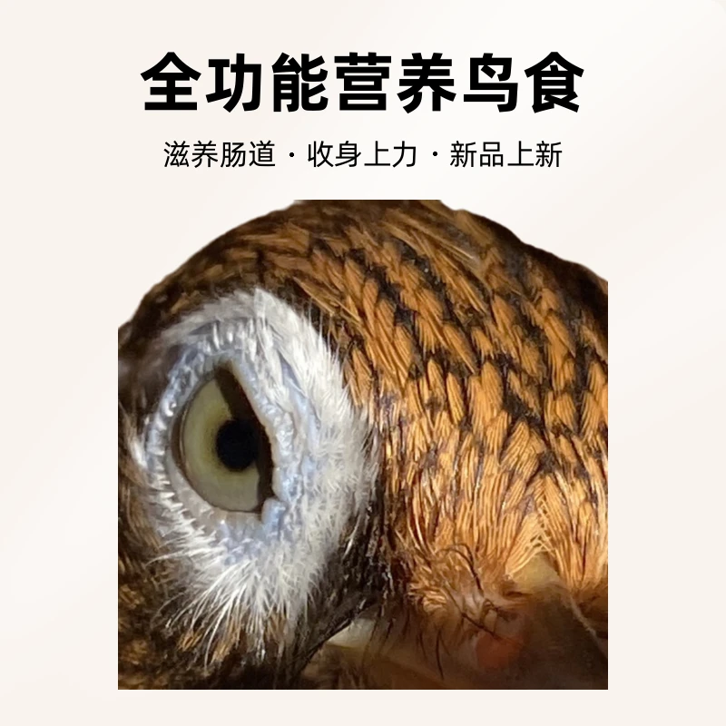 画眉鸟全功能营养鸟食收身上力滋养肠道