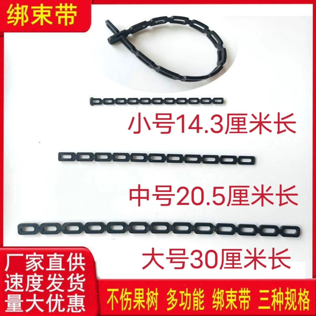 绑束带固定小树和竹竿纤绳A烟台苹果树发货园林用品直供优惠