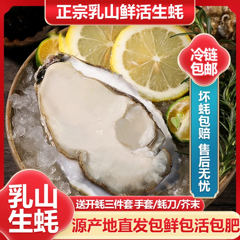 【到手7斤正宗精品乳山生蚝】7-1斤帝王蚝5斤送2斤共7斤鲜活