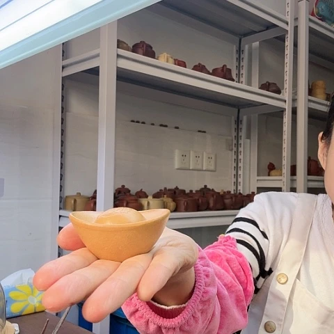 段泥元宝茶宠茶宠