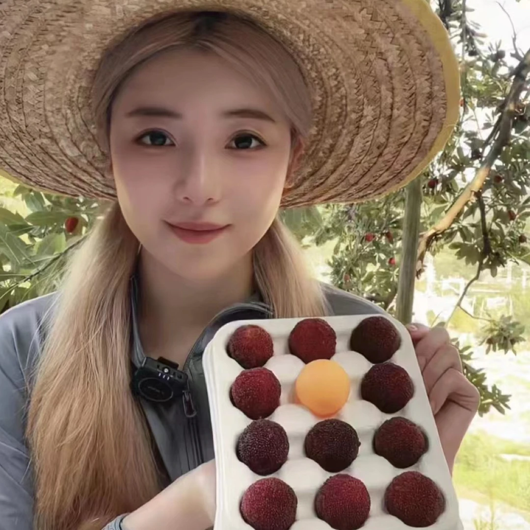 【仙居东魁7A】杨梅顺丰空运颗粒包装现摘现发自然酸甜应季