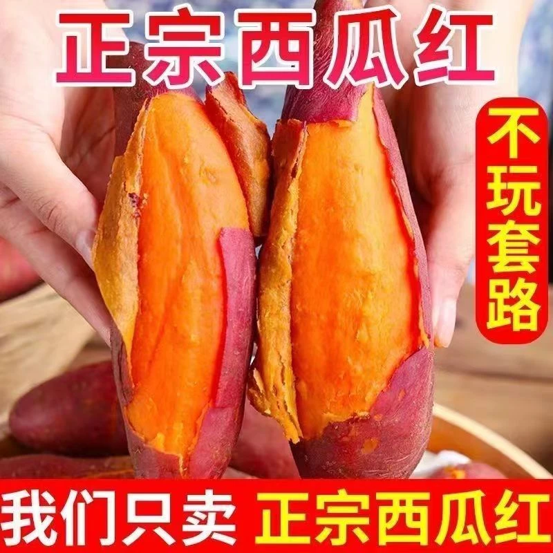 红薯【西瓜红沙地红心蜜薯】大小红薯无丝软糯香甜5斤装