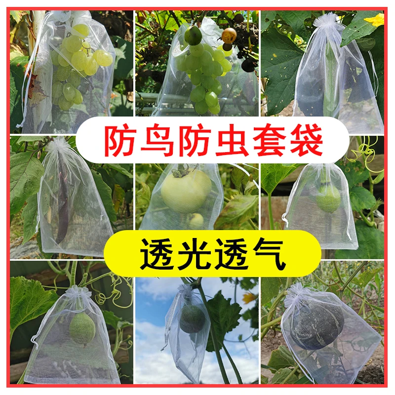 水果套袋果实网袋番茄葡萄无花果草莓防虫防鸟保护袋草莓透气网套