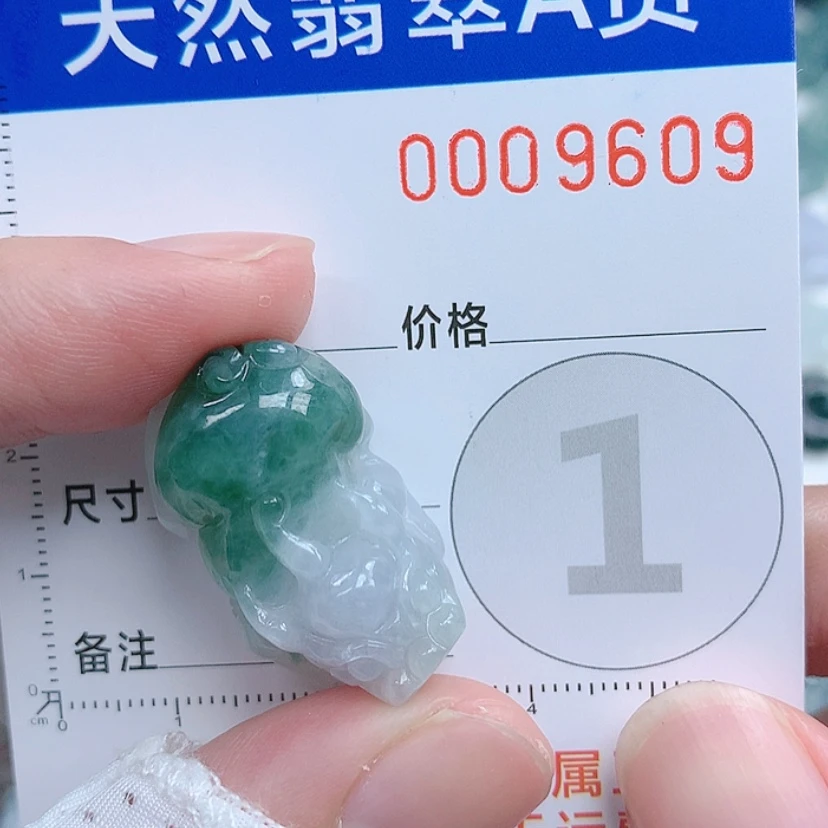 【闪购商品】翡翠颈饰未镶嵌