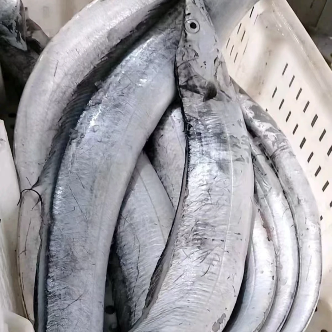 【顶带】 正宗黄海新鲜带鱼 整条发货  每条三两以上 16条