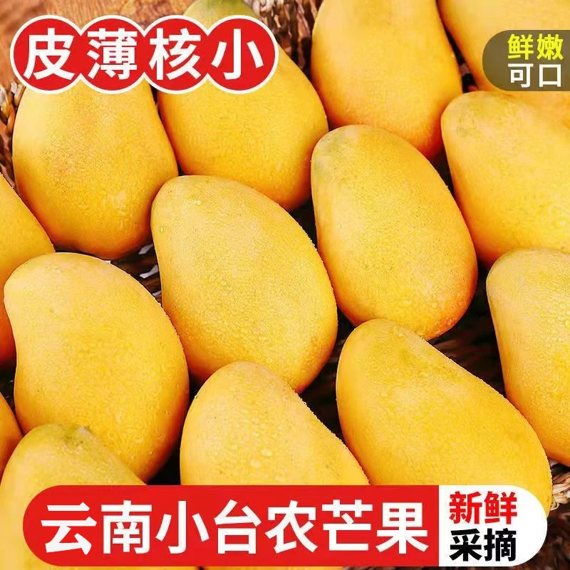 【放软食用】云南小台芒新鲜水果3斤6-10个芒果甜热带芒果纯甜