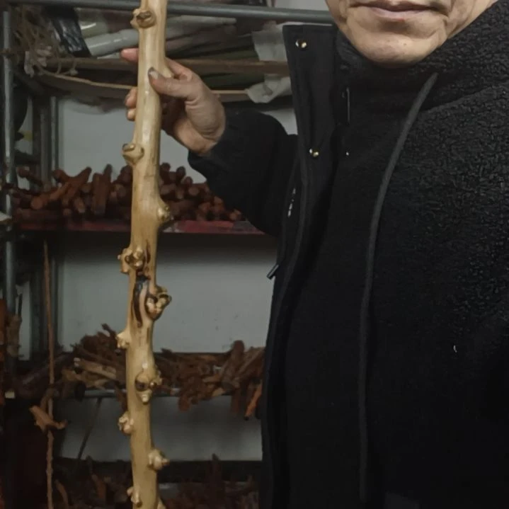 【闪购商品】木头用****8