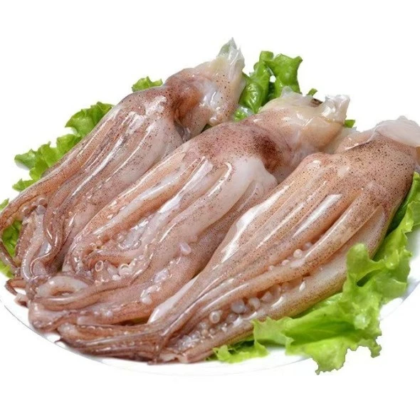 冻品450鱿鱼须20 450g/袋