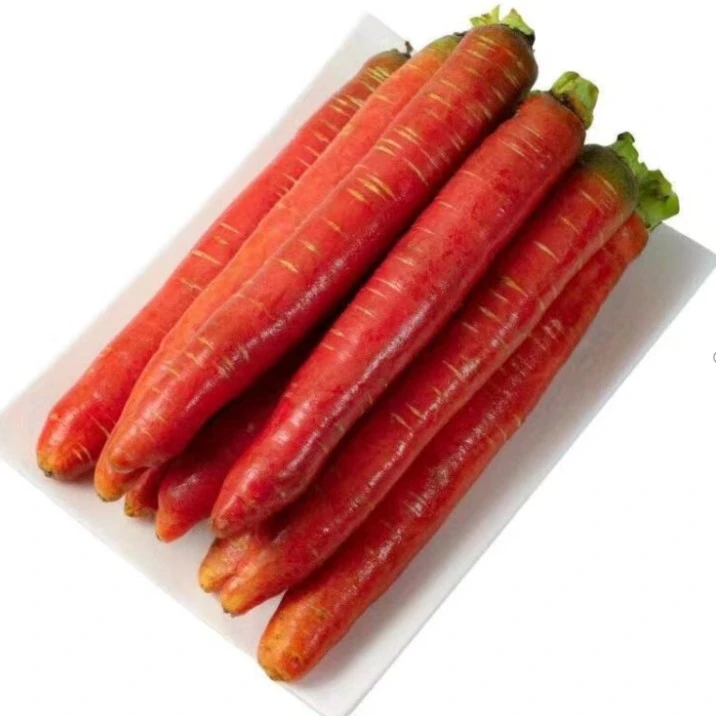 陕西胡萝卜 500g