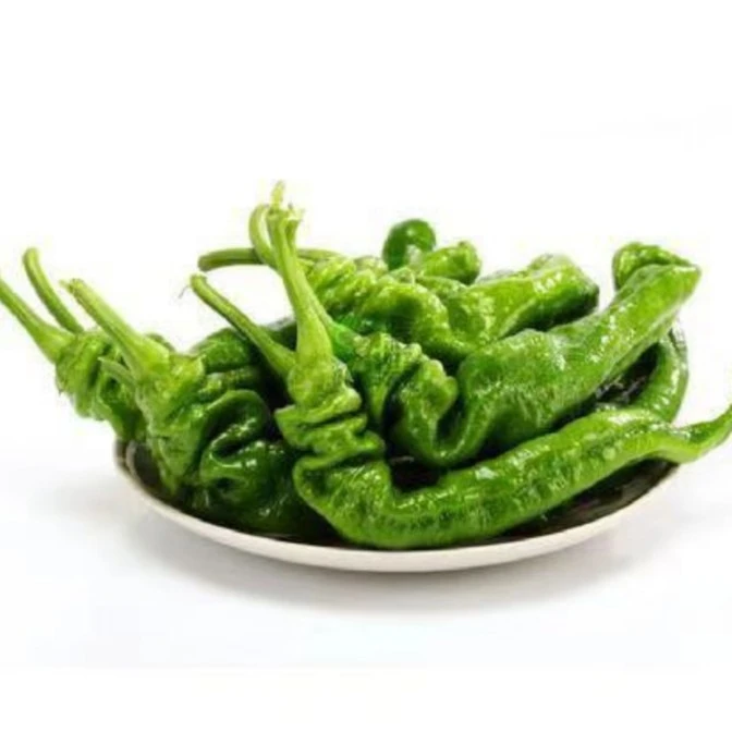 四川螺丝椒 500g