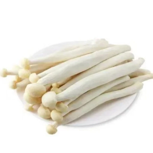 雪榕海鲜菇 250g/包