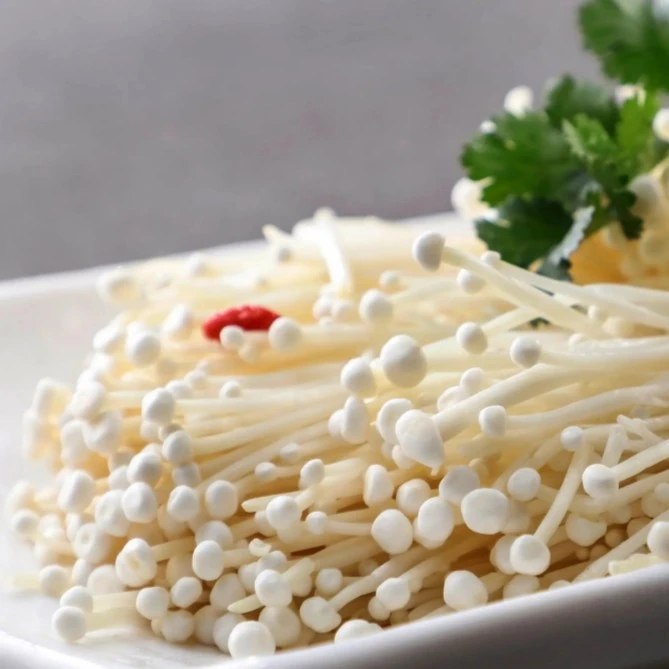 新鲜金针菇 500克