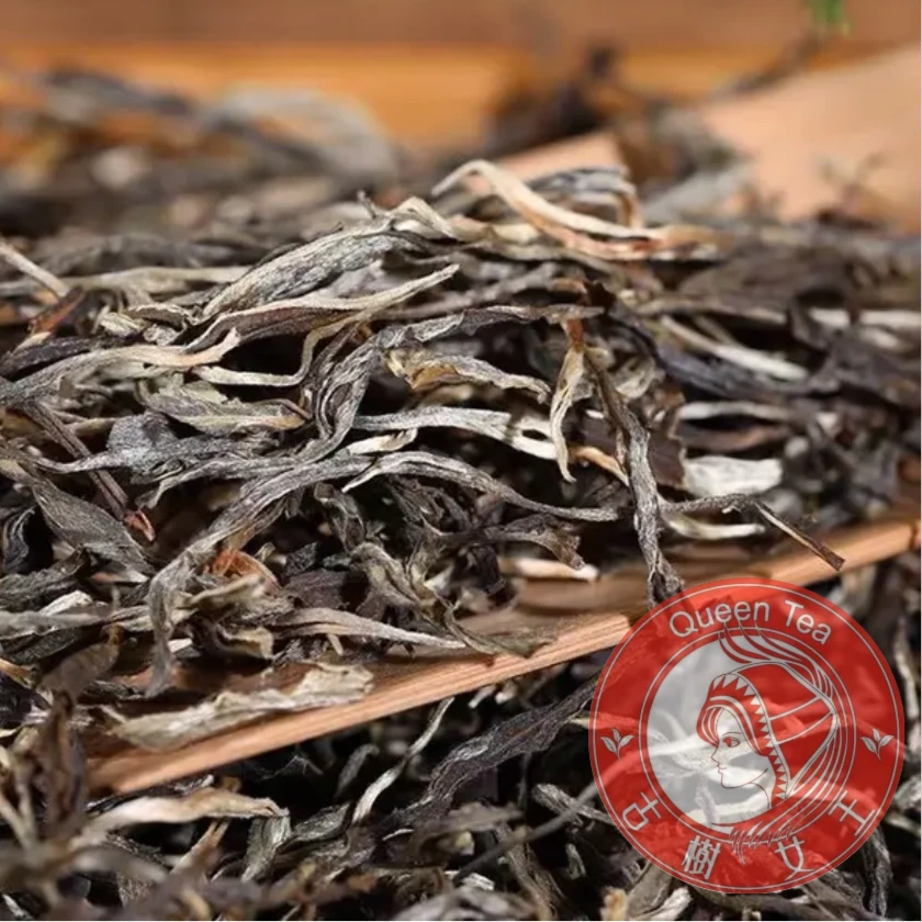 古树女王-（麻栗坡散茶）-临时链接--生普 100克散茶 .
