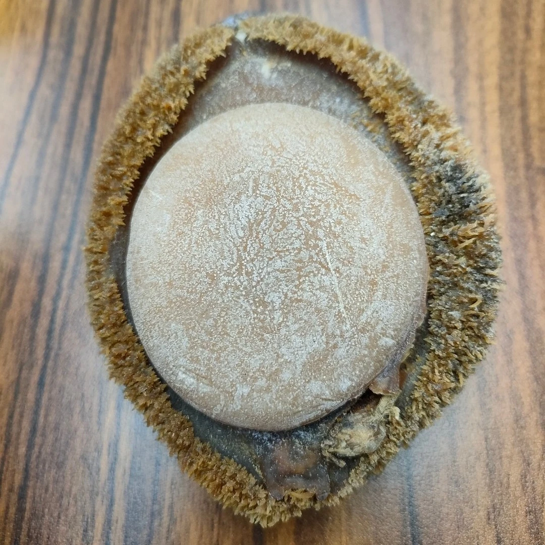 2-4头 干鲍鱼 足干厚肉 溏心醇香 广州一德路海味干货批发