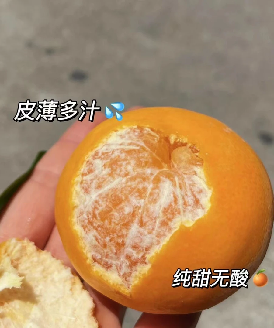 【三妹专属】现摘生态种植正宗武鸣沃柑新鲜头茬果5斤9斤