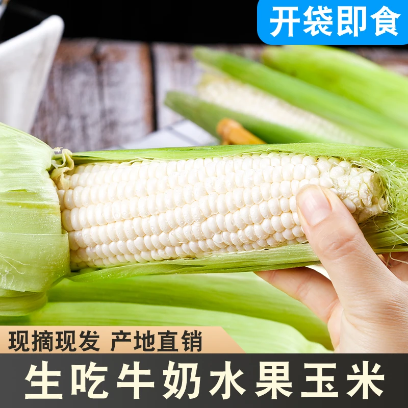 水果玉米新鲜生吃爆浆冰糖牛奶白玉米现摘即食甜玉米棒子1/3/4斤