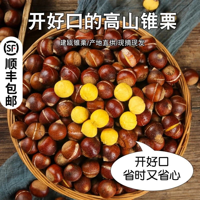 【开好口的锥栗】高山锥栗生新鲜板栗建瓯高山现摘油毛栗子2/3/5斤