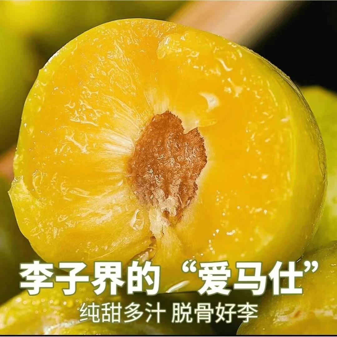 正宗蜂糖李冰糖清脆李脱骨李现摘现发新鲜脆甜脆李网红李姜