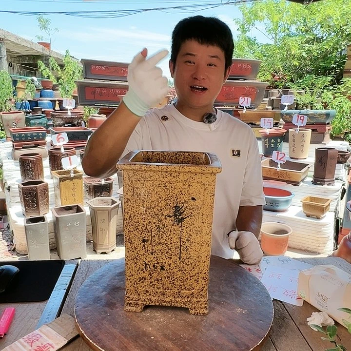 紫砂20CM（含）-50CM（不含）