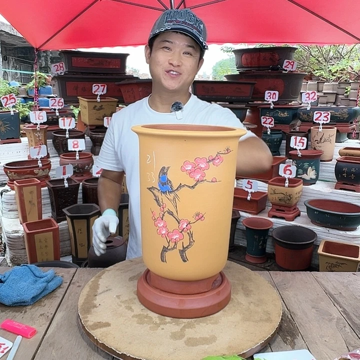 紫砂20CM（含）-50CM（不含）