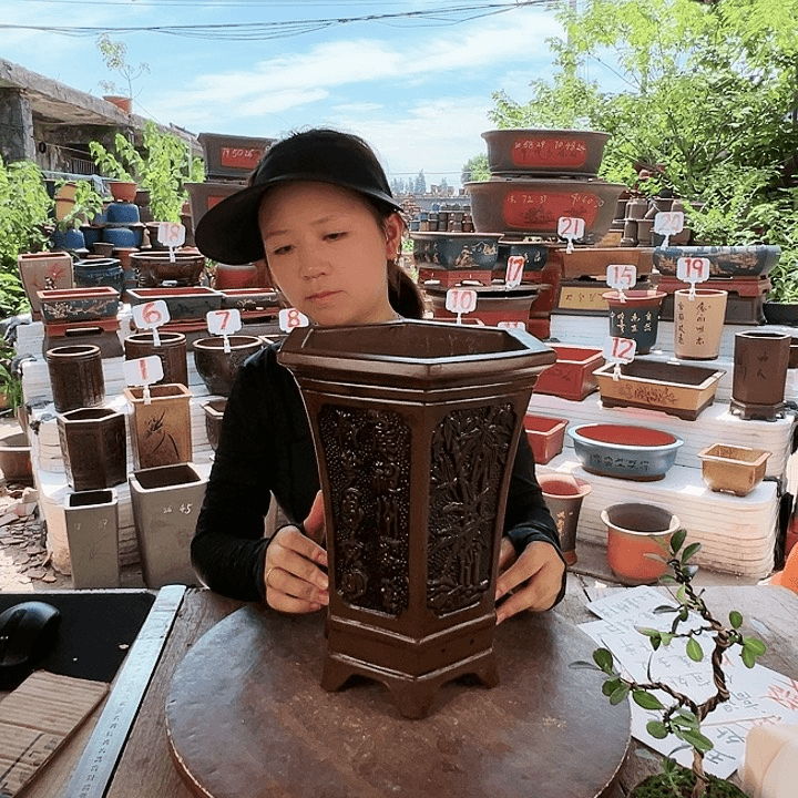 紫砂20CM（含）-50CM（不含）