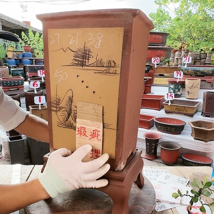 紫砂20CM（含）-50CM（不含）