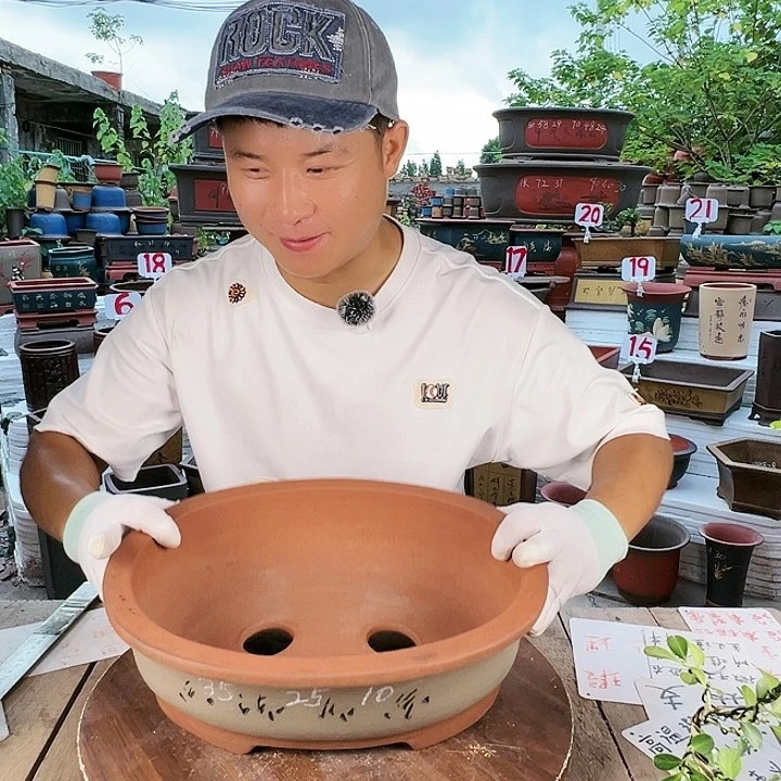 紫砂20CM（含）-50CM（不含）