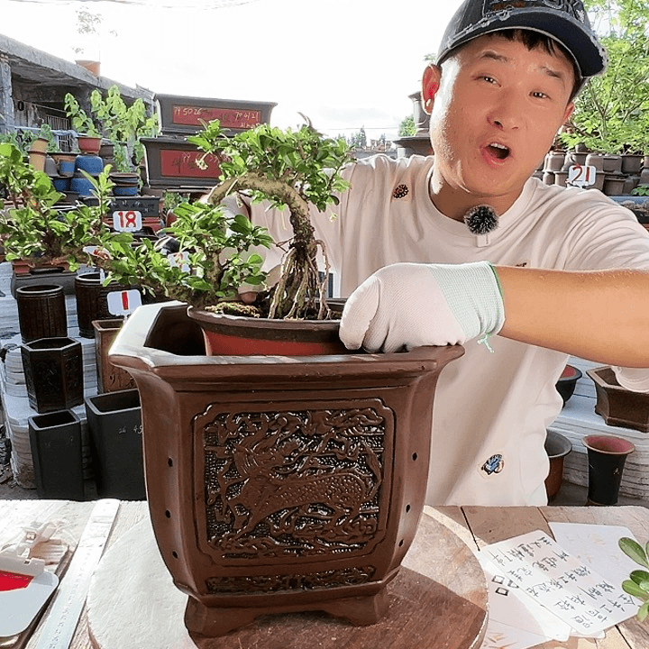 紫砂20CM（含）-50CM（不含）