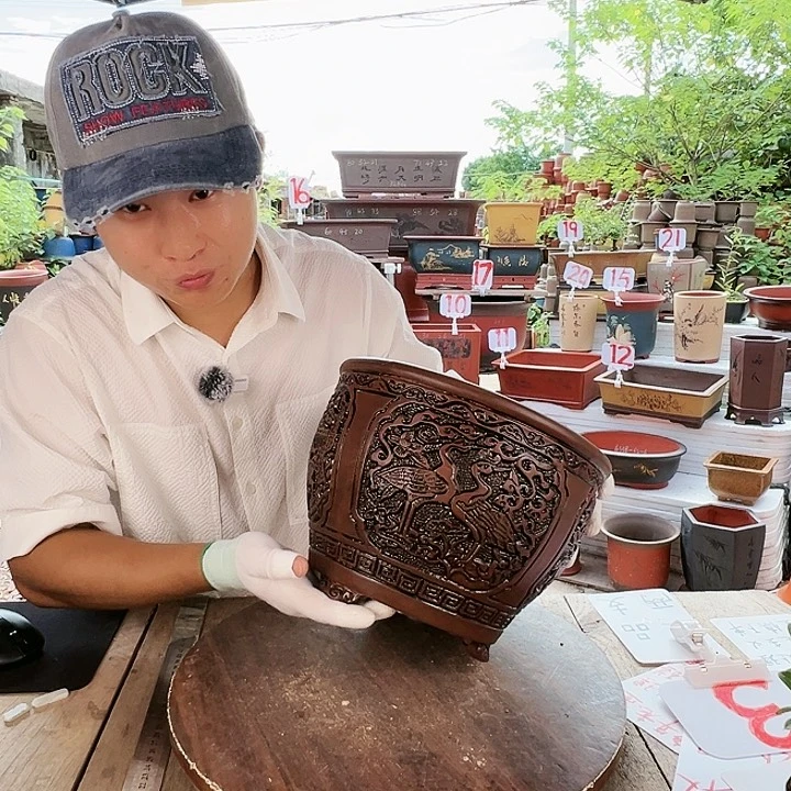 紫砂20CM（含）-50CM（不含）