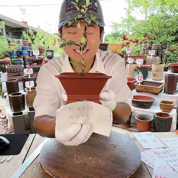 紫砂20CM（含）-50CM（不含）