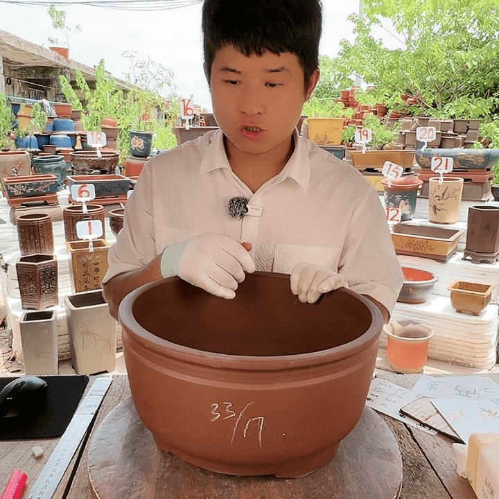 紫砂20CM（含）-50CM（不含）