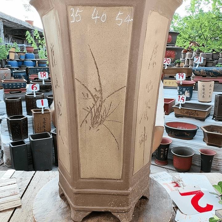 紫砂20CM（含）-50CM（不含）