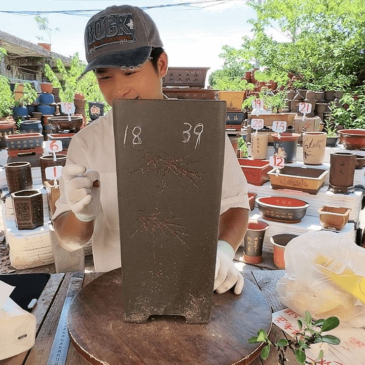 紫砂20CM（含）-50CM（不含）