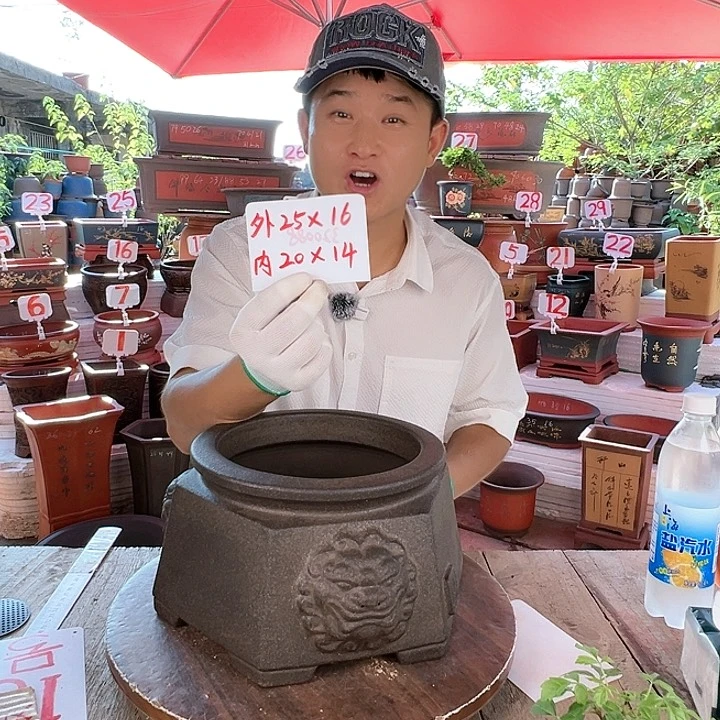 紫砂20CM（含）-50CM（不含）