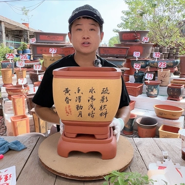 紫砂20CM（含）-50CM（不含）