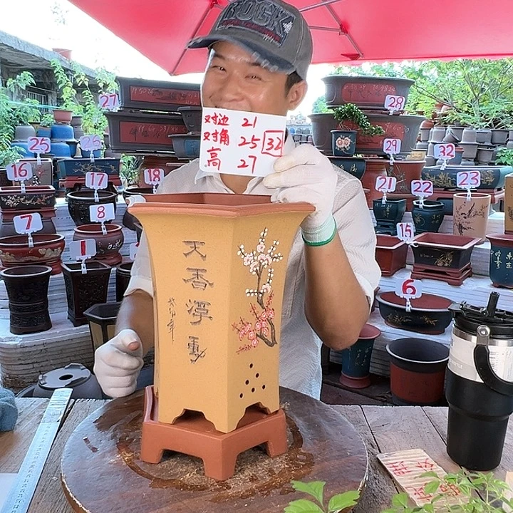 紫砂20CM（含）-50CM（不含）