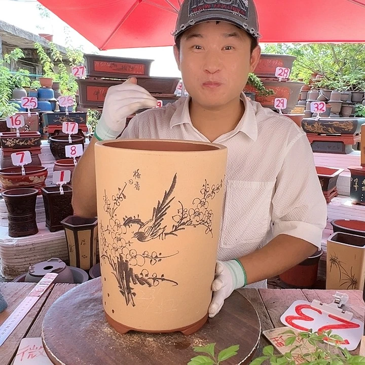 紫砂20CM（含）-50CM（不含）