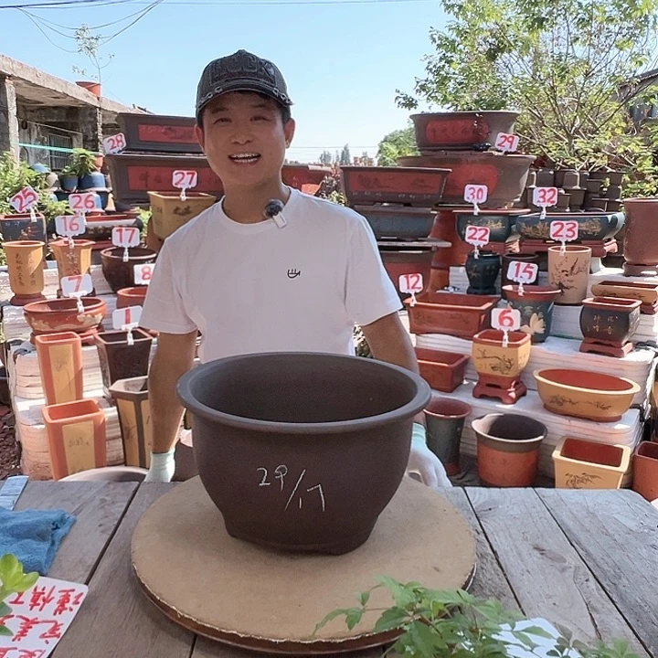 紫砂20CM（含）-50CM（不含）