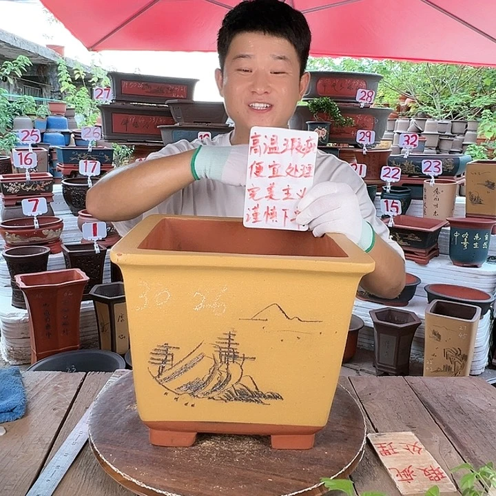 紫砂20CM（含）-50CM（不含）