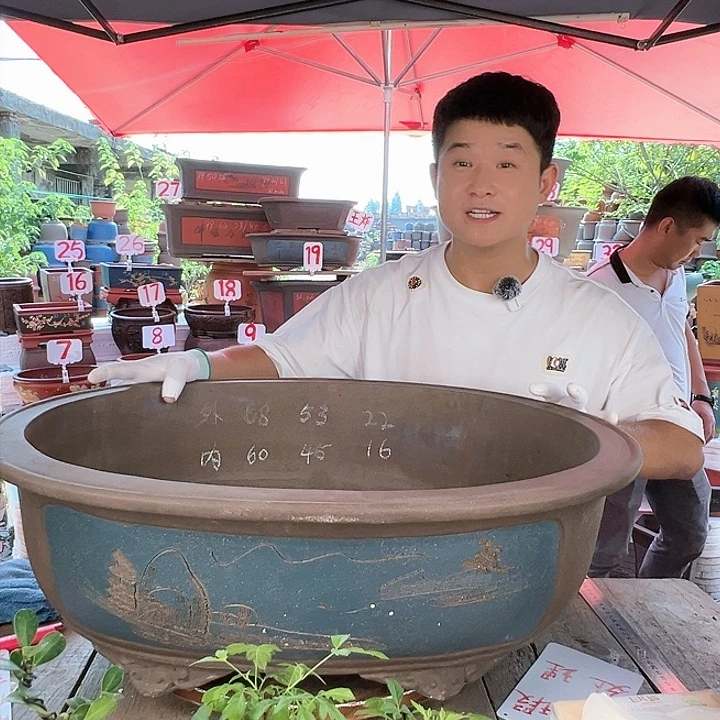 紫砂20CM（含）-50CM（不含）