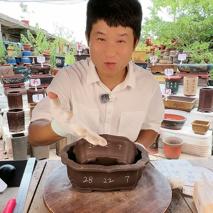 紫砂20CM（含）-50CM（不含）