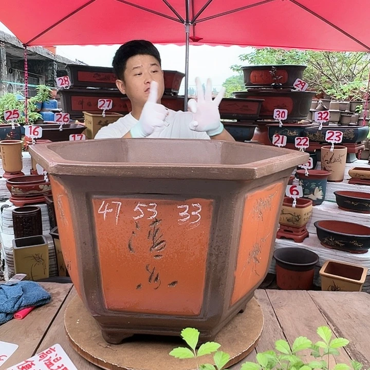 紫砂20CM（含）-50CM（不含）